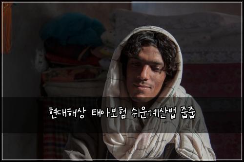 현대해상 태아보험 쉬운계산법 줍줍