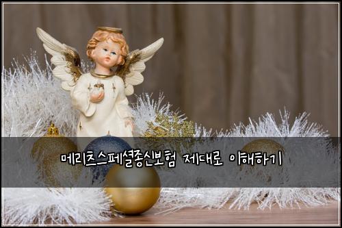 메리츠스페셜종신보험 제대로 이해하기