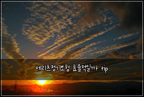 ๋ฉ๋ฆฌ์ธ ์ ๊ธฐ๋ณดํ ํจ์จ์ ์ผ๊น tip