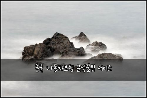 흥국 자동차보험 분석꿀팁  서비스