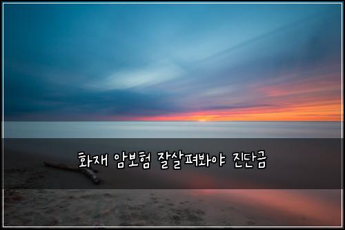 화재 암보험 잘살펴봐야  진단금