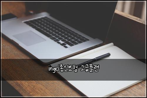 ingci์ข
์ ๋ณดํ ๊ณ ๊ธํ๋