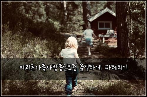 메리츠가족사랑종신보험 솔직하게 파헤치기