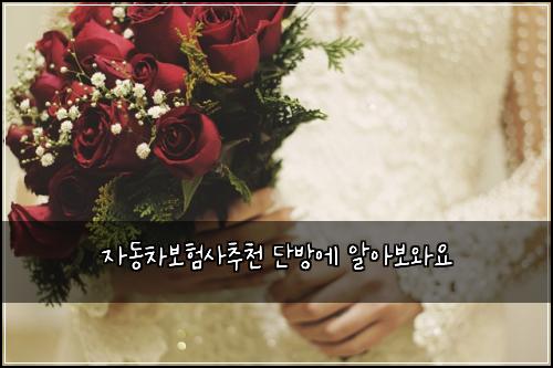 ์๋์ฐจ๋ณดํ์ฌ์ถ์ฒ ๋จ๋ฐฉ์ ์์๋ณด์์