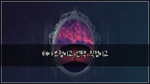 ํ์๋ณดํ๋น๊ต ์ ํ ์ง์ ๋น๊ต
