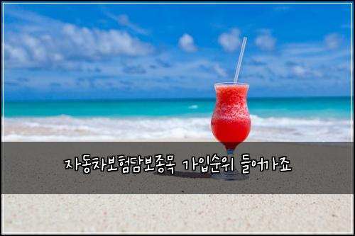 자동차보험담보종목 가입순위 들어가죠
