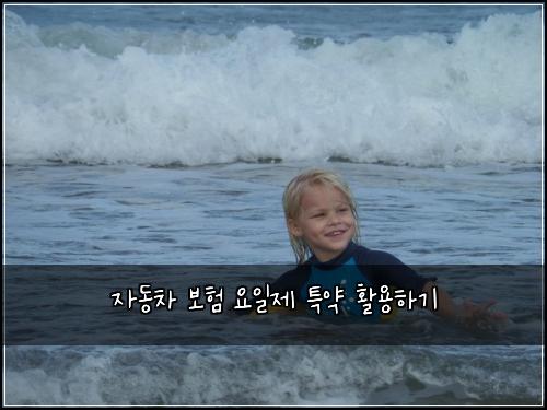 자동차 보험 요일제 특약 활용하기