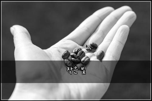 작은 빛