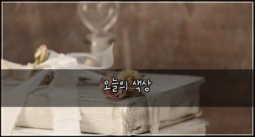 오늘의 색상