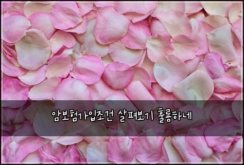 암보험가입조건 살펴보기 훌룡하네