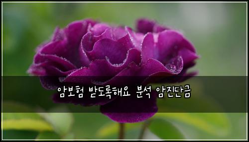 ์๋ณดํ ๋ฐ๋๋กํด์ ๋ถ์ ์์ง๋จ๊ธ