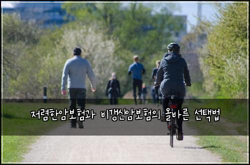 저렴한암보험과 비갱신암보험의 올바른 선택법