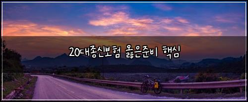 20๋์ข
์ ๋ณดํ ์ณ์์ค๋น ํต์ฌ