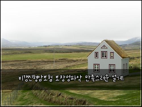 비갱신형암보험 보장성파악  만족스러운 설계