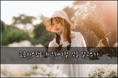 승용차보험료 체크해야할 것들 알고보자