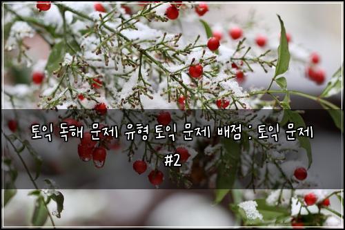 토익 독해 문제 유형 토익 문제 배점 : 토익 문제 #2