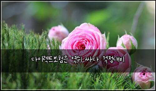 ๋ค์ด๋ ํธ๋ณดํ์ ์ญ์ฌ ์ธ๋ค ๊ฑฑ์ ๋๋น