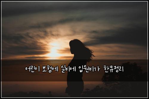 ์ด๋ฆฐ์ด ๋ณดํ์ ์ค๋น์ ์
์๋น๊ฐ ํํ์ ๋ฆฌ