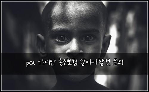 pca 가디안 종신보험 알아야할것  문의