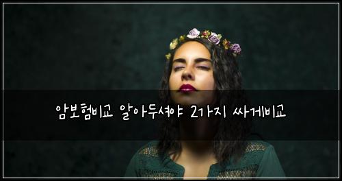 암보험비교 알아두셔야 2가지 싸게비교