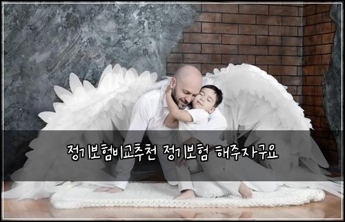 ์ ๊ธฐ๋ณดํ๋น๊ต์ถ์ฒ ์ ๊ธฐ๋ณดํ ํด์ฃผ์๊ตฌ์