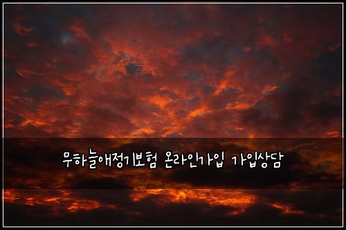 무νλμ μ 기보ν μ¨λΌμΈκ°μ
κ°μ
μλ΄