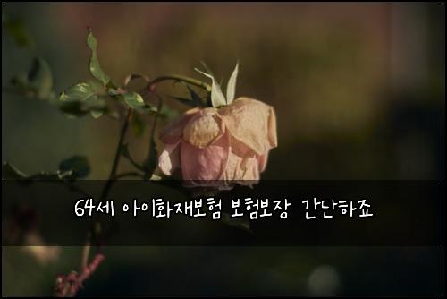 64์ธ ์์ดํ์ฌ๋ณดํ ๋ณดํ๋ณด์ฅ ๊ฐ๋จํ์ฃ