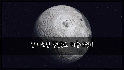 남자보험 추천좀요  하늘애정기