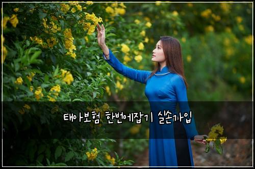 ํ์๋ณดํ ํ๋ฒ์์ก๊ธฐ ์ค์๊ฐ์
