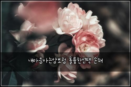 ๋ด๋ง์์๋์๋ณดํ ํ๋ฅญํ์ ํ ์ํด