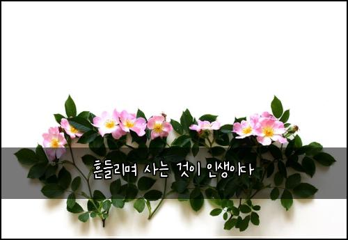 흔들리며 사는 것이 인생이다