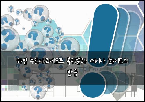 하빕 누르마고메도프 복귀설과 데이나 화이트의 반응