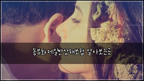동부화제일반상해보험 알아보는곳 