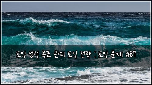 토익 성적 목표 관리 토익 전략 : 토익 문제 #87
