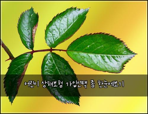 ์ด๋ฆฐ์ด ์ํด๋ณดํ ๊ฐ์
์ ํ ์ข ํ๋์๋ณด๊ธฐ