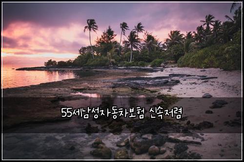55์ธ๋จ์ฑ์๋์ฐจ๋ณดํ ์ ์์ ๋ ด