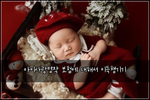 ์์ด์ฌ๋๋ช
์ ๋ณดํ์ ๋ํด์ ์ด๋์ฑ๊ธฐ๊ธฐ