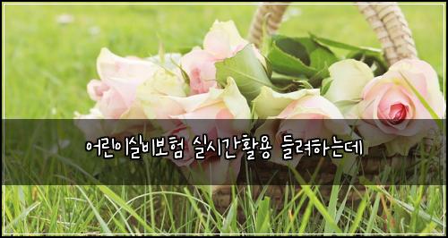 ์ด๋ฆฐ์ด์ค๋น๋ณดํ ์ค์๊ฐํ์ฉ ๋ค๋ คํ๋๋ฐ
