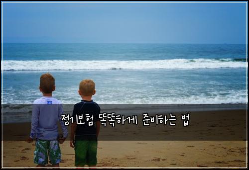 정기보험 똑똑하게 준비하는 법