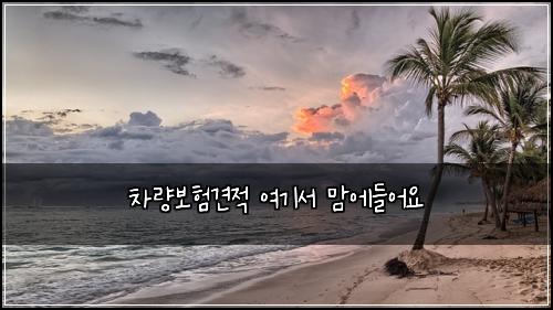 ์ฐจ๋๋ณดํ๊ฒฌ์ ์ฌ๊ธฐ์ ๋ง์๋ค์ด์