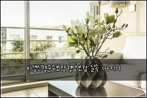 비갱신형순수보장형암보험 실속 따지기