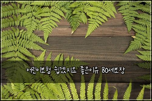 어린이보험 쉽겠지요  좋은이유 80세보장