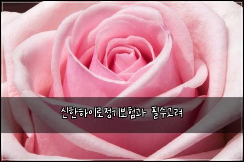 ์ ํํ์ด๋ก์ ๊ธฐ๋ณดํ๊ณผ ํ์๊ณ ๋ ค