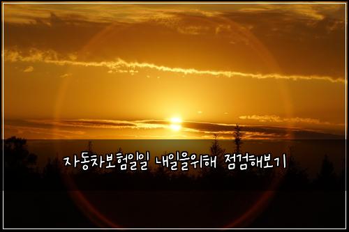 자동차보험일일 내일을위해 점검해보기
