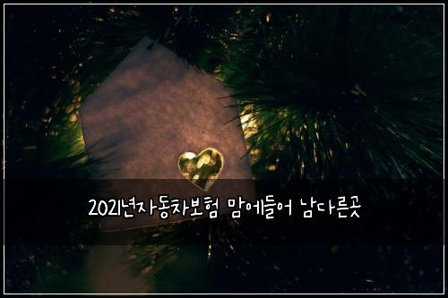 2021년자동차보험 맘에들어  남다른곳
