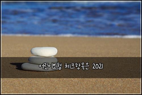 μ΄λ¦°μ΄λ³΄ν 체ν¬νλͺ©μ 2021