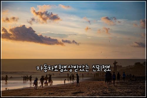 자동차보험보상받았는 신뢰정보