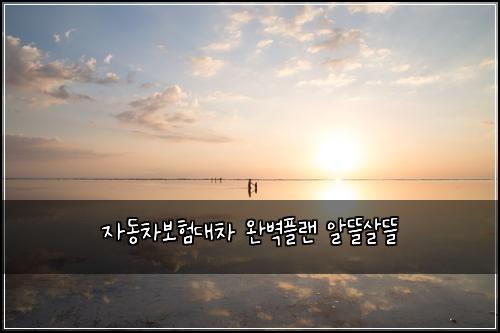 ์๋์ฐจ๋ณดํ๋์ฐจ ์๋ฒฝํ๋ ์๋ฐ์ด๋ฐ