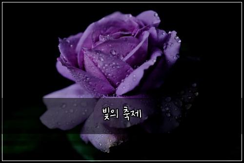 빛의 축제