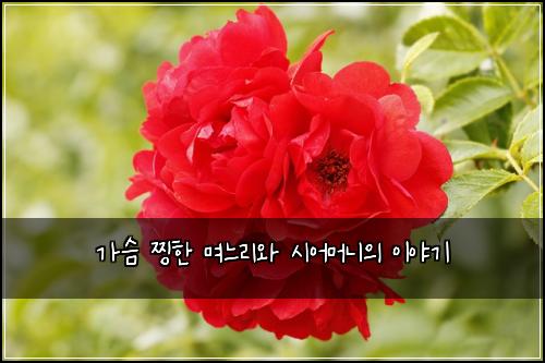 ๊ฐ์ด ์ฐกํ ๋ฉฐ๋๋ฆฌ์ ์์ด๋จธ๋์ ์ด์ผ๊ธฐ